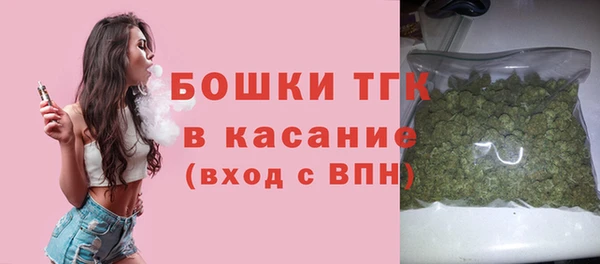 твердый Богородск