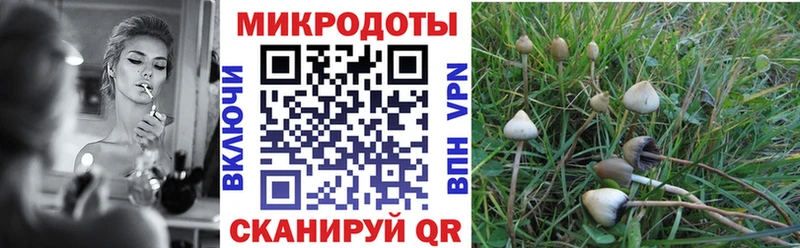 цены   Шатура  Галлюциногенные грибы Magic Shrooms 