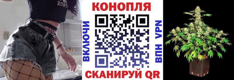 Канабис семена  купить   Шатура 
